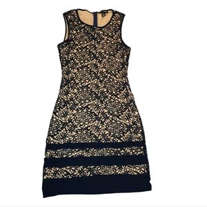 Lia Lee Navy Lace Dress